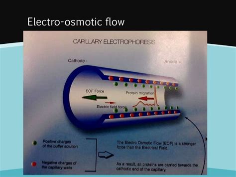 Capillary electrophoresis principles and applications