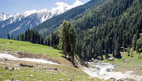 3 Surreal Valleys In Pahalgam One Must Definitely Visit While In Kashmir!