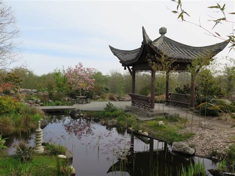 Seattle Chinese Garden — Washington Trails Association