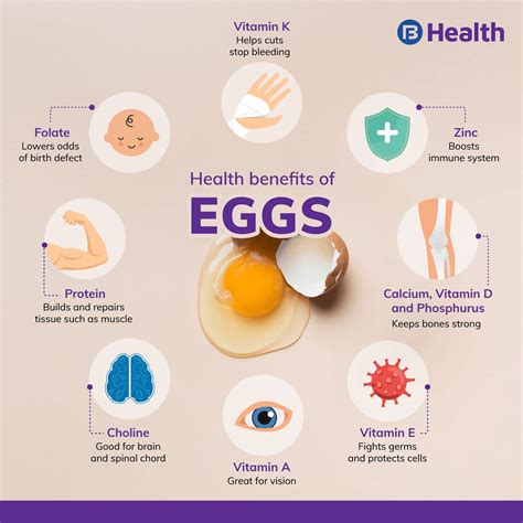 Important Nutrition Facts Of Egg To Keep In Mind