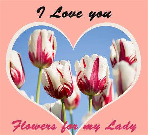 I Love You Flowers Tulip. Free For Your Love eCards, Greeting Cards ...