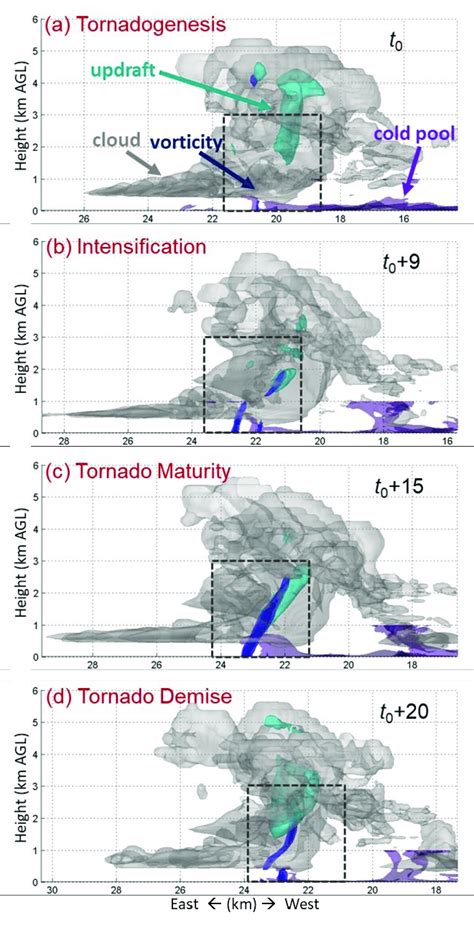 Three-dimensional perspective of the simulated tornado and cumulonimbus... | Download Scientific ...