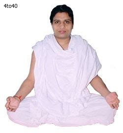 Acharya Balkrishna Ji Biography For Students - Kids Portal For Parents