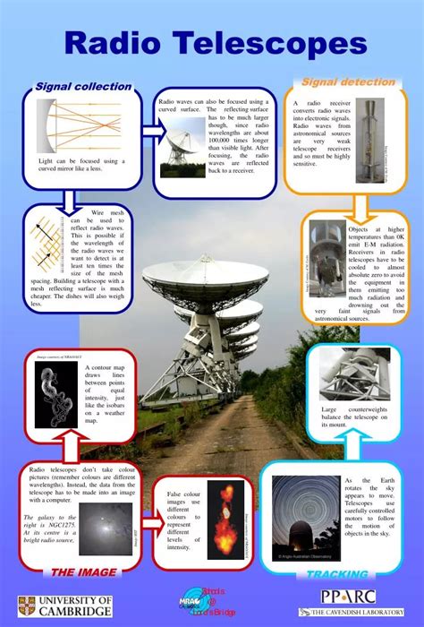 PPT - Signal detection PowerPoint Presentation, free download - ID:3259143