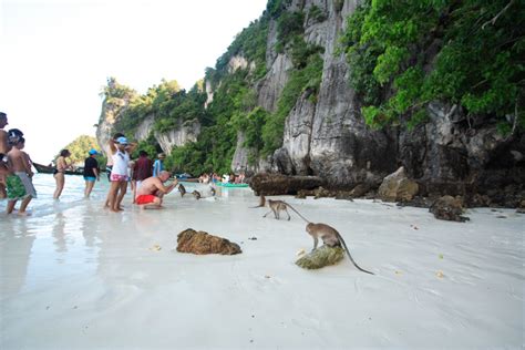 phi phi early bird monkey beach - Thailand Liveaboards