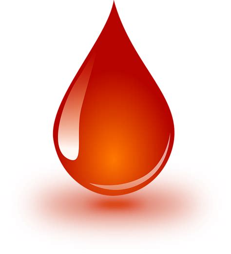 Blood Donation Drop · Free vector graphic on Pixabay