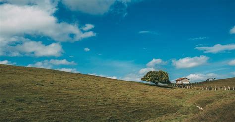 Landscape Photo of 1 Tree and House · Free Stock Photo