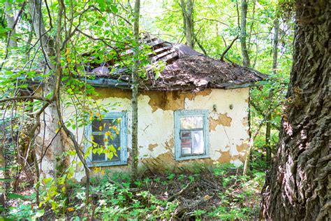 Abandoned city Chernobyl radioactive contamination. Overgrown trees and ...