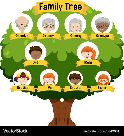 Diagram showing three generation family tree Vector Image