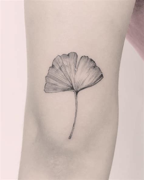 ginkgo biloba leaf tattoo - tattooshopsinaltoonapa