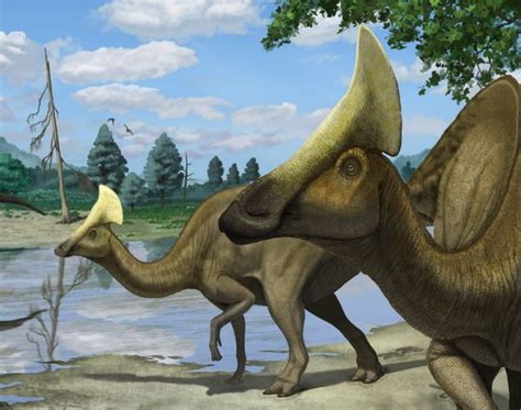 Olorotitan Pictures & Facts - The Dinosaur Database