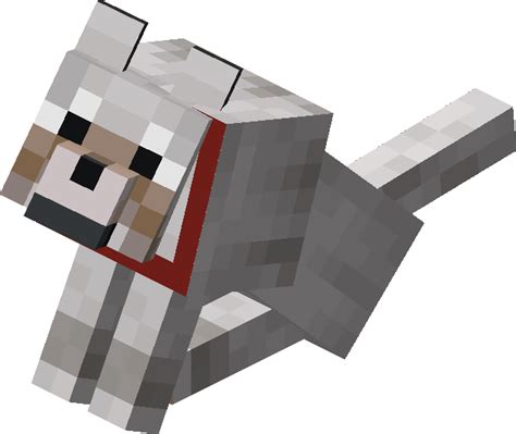 Why Do Wolves Turn Black In Minecraft: Unraveling The Mystery