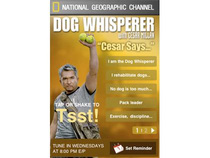 Cesar Millan Quotes. QuotesGram