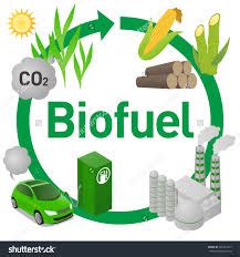 Op-ed: biofuels are still an important component of our energy mix ...