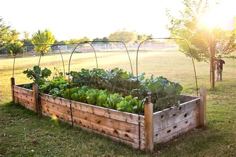 Raised Vegetable Garden Ideas And Designs Garden Layout Raised Bed Perfect Vegetable Reference ...