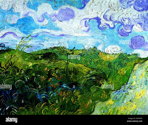 Green Wheat Fields - by Vincent van Gogh, 1890 Stock Photo - Alamy