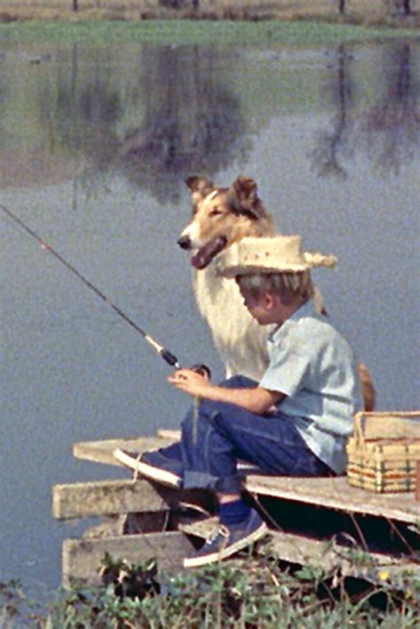 Lassie and Jeff | Cowboy hats, Hats, Cowboy