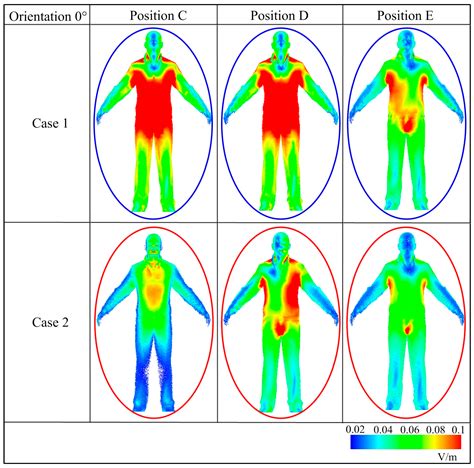 Human Magnetic Field