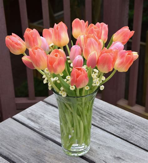 Tulip arrangement