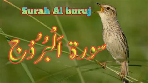 Surah Al buruj beautiful voice Quran recitation سورۃ ا ل ب ر