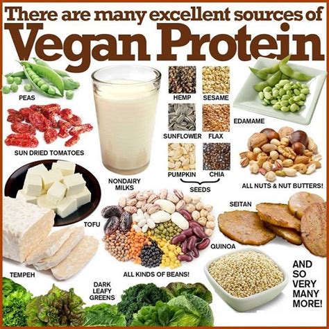 My vegan life: Vegan source of protein (I have 99 problems but protein aint one)