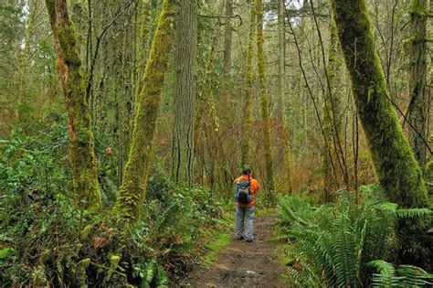 17 Best images about Vashon on Pinterest | Loft beds, Washington and Islands