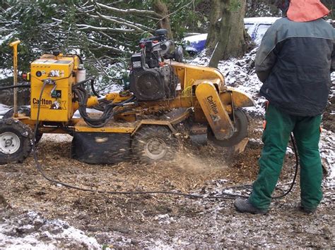 TREE STUMP GRINDING CHANDLER | CHANDLER TREES