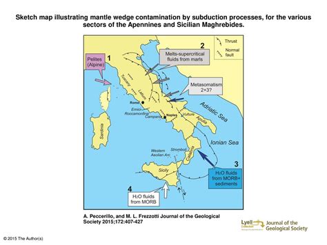 by A. Peccerillo, and M. L. Frezzotti - ppt download