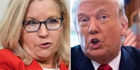 Donald Trump Fires Back At Liz Cheney With Unexpected Confession About ...