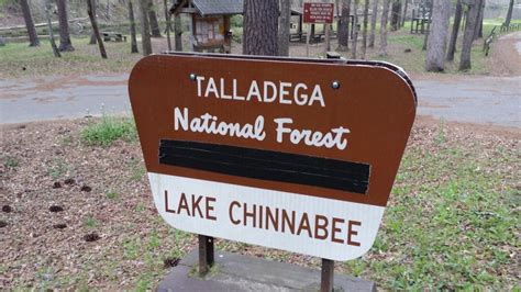 Talladega National Forest Hiking | JWRE – Huntsville Alabama Homes For ...