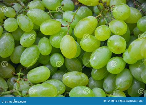 Uvas Verdes Fotos de archivo - Imagen: 15144613