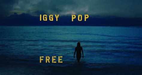 Iggy Pop Announces Forthcoming Studio Album 'Free', Shares Title Track [Listen]