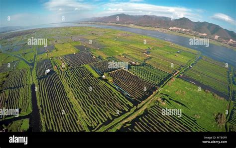 Aerial photo of floating gardens on Inle Lake Stock Photo - Alamy