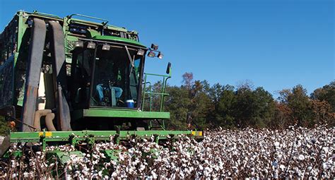 Automatic Lubrication System for Cotton Picker | Bijur Delimon International