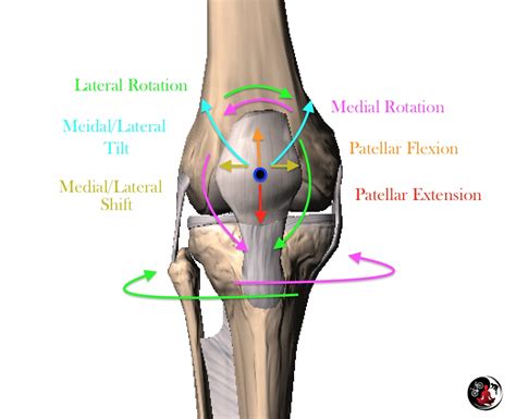 Patellar Tracking and Bike Fit — Chris Balser | ClinicalBikeFit.com