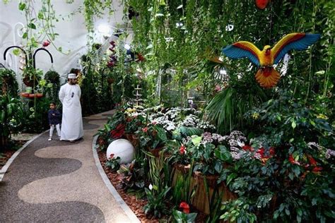 Dubai Miracle, Butterfly Garden Tour with Roundtrip Transfers 2023