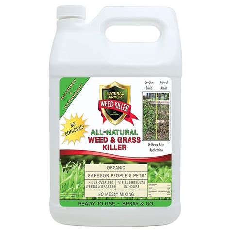 Top 6 Most Effective Organic Weed Killers [Nov 2024] Reviews