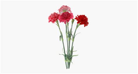 carnation bouquet - 3d model