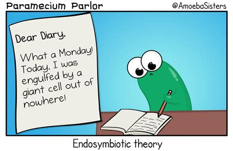 Endosymbiotic Theory - Science with The Amoeba Sisters