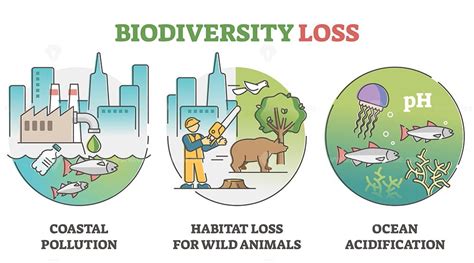 Biodiversity loss issues and causes as climate ecosystem problem outline set - VectorMine