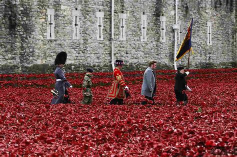 On Armistice Day In U.K., A Sea Of Red Poppies Honors The Fallen : The Two-Way : NPR