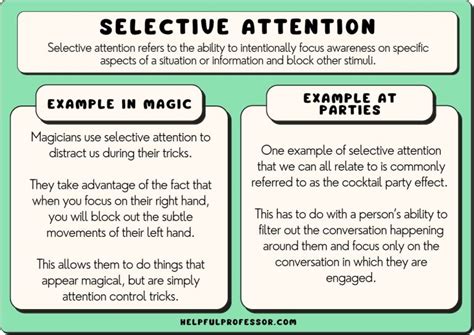 18 Selective Attention Examples (2024)