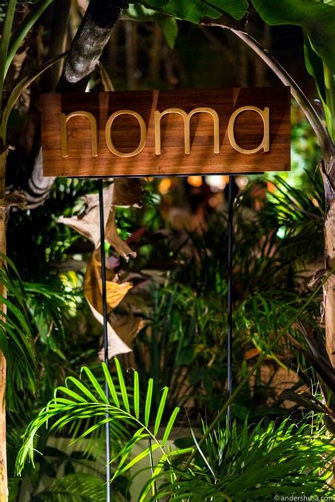 noma-mexico-tulum-rene-redzepi-popup-restaurant-review-food-foodie-eat ...