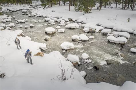 Fly Fishing -- The Best Fly-Fishing Gear in the World | Orvis