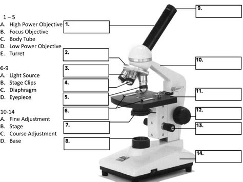 PPT - 1 – 5 High Power Objective Focus Objective Body Tube Low Power ...