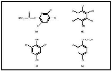 Organic Halogen Compounds - Chemistry Encyclopedia - reaction, elements ...