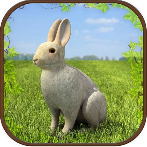 Extreme Rabbit 3D Simulator by Vector Labs Limited