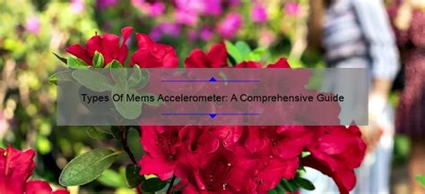 Types Of Mems Accelerometer: A Comprehensive Guide - GyroPlacecl.com