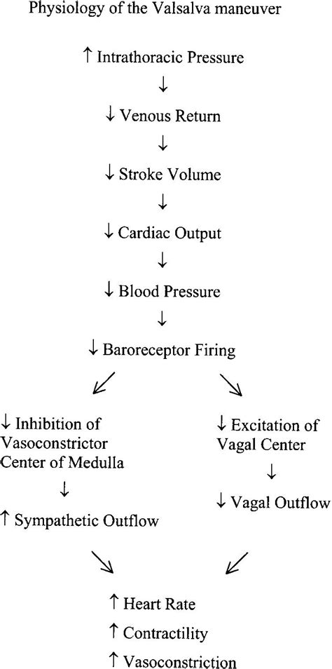 physiology of valsalva maneuver