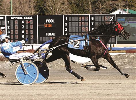 Saratoga Raceway Commences 76th Season Of Harness Racing At Crescent ...